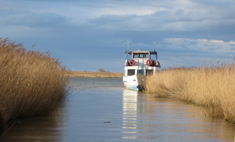 Escursioni valli di Comacchio