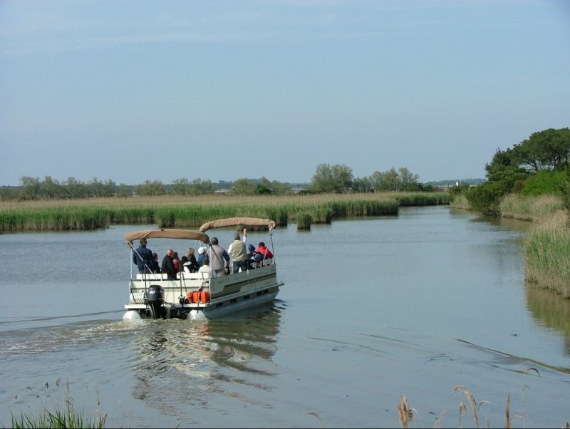 Escursioni in barca nel Delta del Po