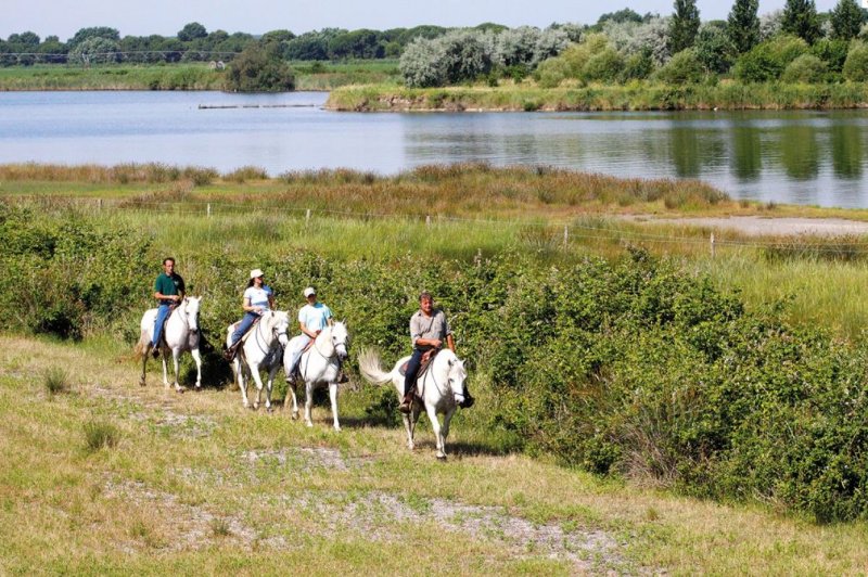 Passeggiata cavalli Delta